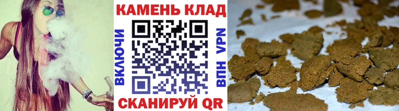 mega tor Искитим ГАШ гарик