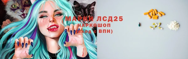 дживик Вязьма