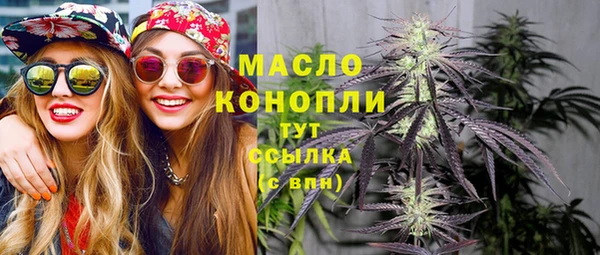 дживик Вязьма