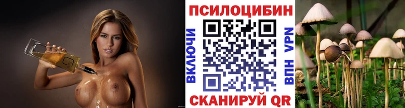 Псилоцибиновые грибы Cubensis  Искитим 